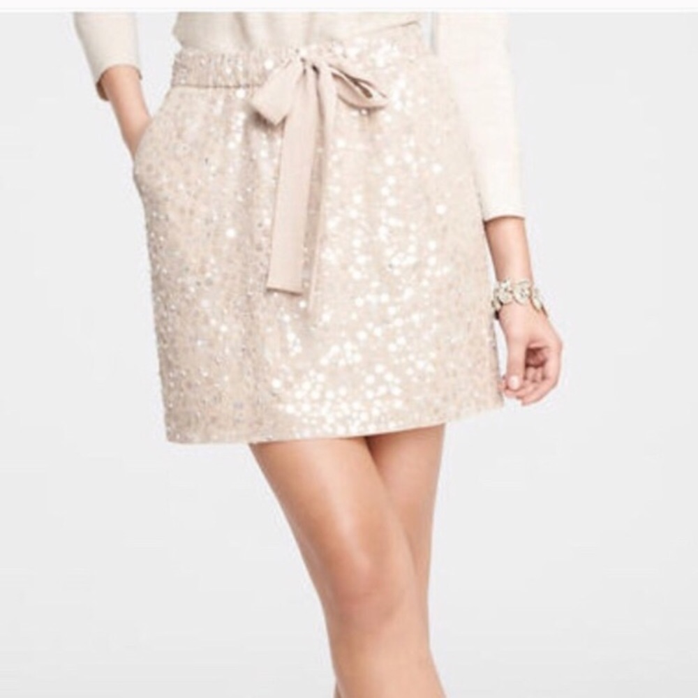 ANN Taylor mixed sequin mini skirt